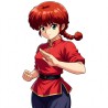 Panel Ranma preventa