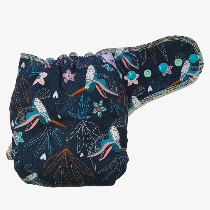 Ajustado mariposa S colibries
