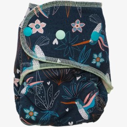 Ajustado mariposa S colibries